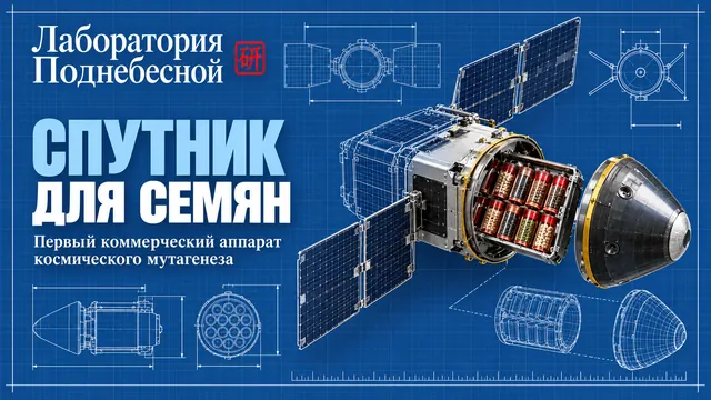 В Китае строят первый спутник только для мутации семян: зачем зерну собственный космический «челнок»